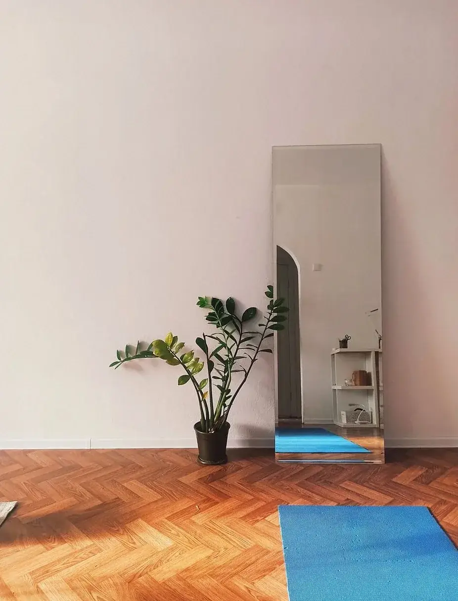 Quiet room with a floor mat, a tall mirror and a houseplant